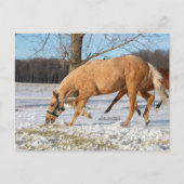 Briefkaart van Lugos krijgen take-out (Voorkant)