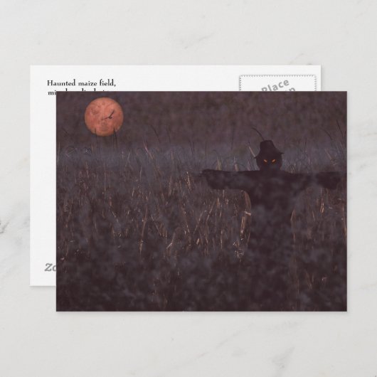 Briefkaart van maïsveld, gehakt (Voorkant / Achterkant)