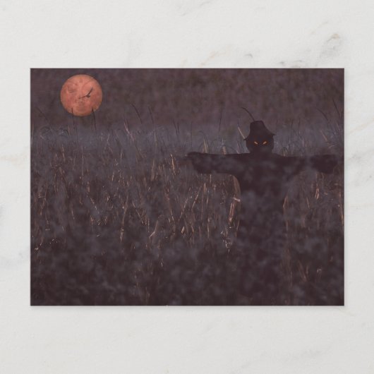 Briefkaart van maïsveld, gehakt (Voorkant)