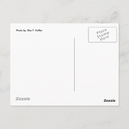 Briefkaart van mama en Little Ones (2) (Achterkant)