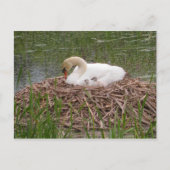 Briefkaart van mama en Little Ones (2) (Voorkant)