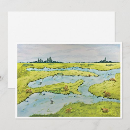 Briefkaart van Marsh (Voorkant / Achterkant)