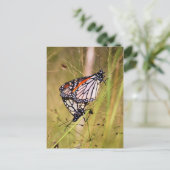 Briefkaart van Materaarzetmeel Butterflies (Staand voorkant)