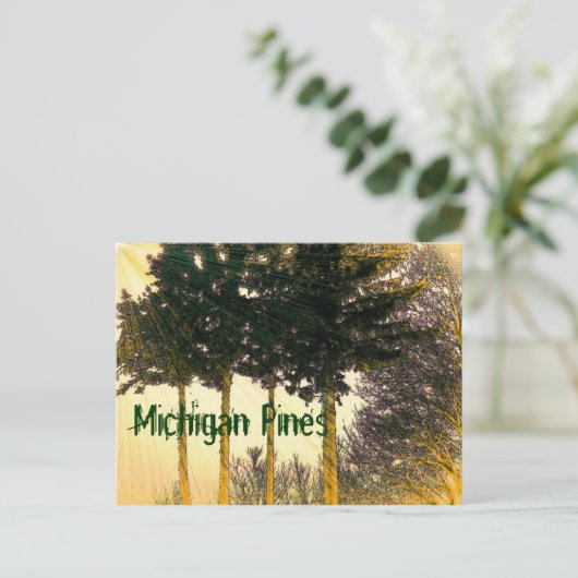 Briefkaart van Michigan Pines (Staand voorkant)
