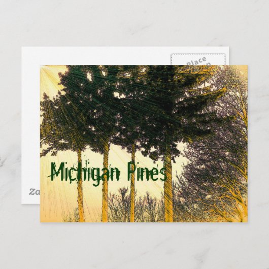 Briefkaart van Michigan Pines (Voorkant / Achterkant)