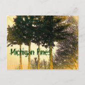 Briefkaart van Michigan Pines (Voorkant)