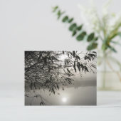 Briefkaart van Mist en Shadow (Staand voorkant)