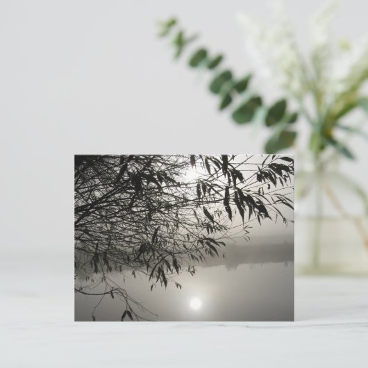 Briefkaart van Mist en Shadow (Staand voorkant)