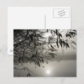 Briefkaart van Mist en Shadow (Voorkant / Achterkant)