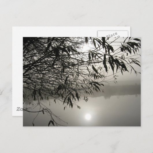 Briefkaart van Mist en Shadow (Voorkant / Achterkant)