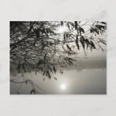 Briefkaart van Mist en Shadow (Voorkant)