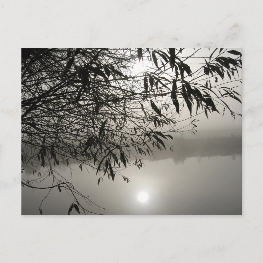 Briefkaart van Mist en Shadow (Voorkant)