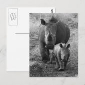 Briefkaart van moeder en Baby Rhino (Voorkant / Achterkant)