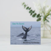 Briefkaart van Monterey California Whale Tail (Staand voorkant)