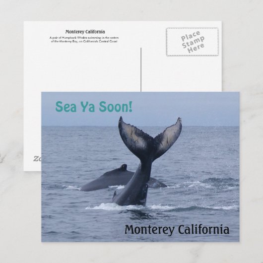Briefkaart van Monterey California Whale Tail (Voorkant / Achterkant)
