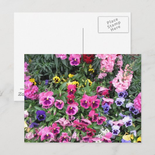 Briefkaart van mooie tuin (Voorkant / Achterkant)