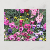 Briefkaart van mooie tuin (Voorkant)