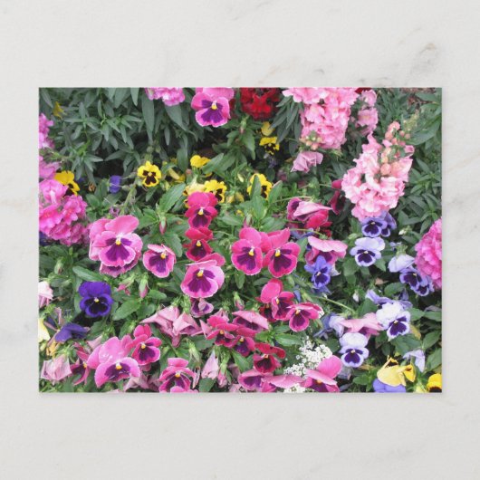 Briefkaart van mooie tuin (Voorkant)