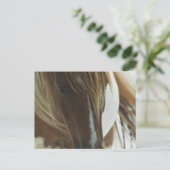 Briefkaart van Mustang Wild Horse (Staand voorkant)