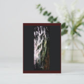 Briefkaart van mystieke paarden (Staand voorkant)