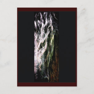 Briefkaart van mystieke paarden