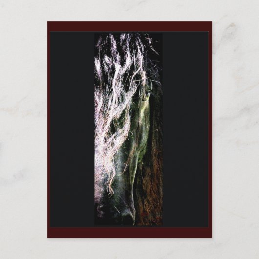 Briefkaart van mystieke paarden (Voorkant)