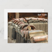 Briefkaart van Nami Island (Voorkant / Achterkant)