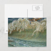 Briefkaart van Neptunes Horses (Voorkant / Achterkant)
