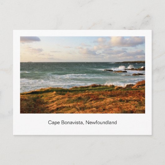 Briefkaart van Newfoundland (Voorkant)