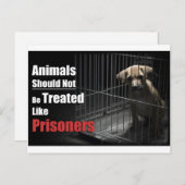 Briefkaart van niet-gedetineerden (Voorkant / Achterkant)