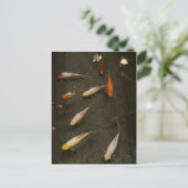 Briefkaart van Nishikigoi (Koi Fish) (Staand voorkant)