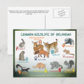 briefkaart van Oklahoma 19 (Voorkant / Achterkant)