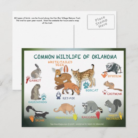 briefkaart van Oklahoma 19 (Voorkant / Achterkant)