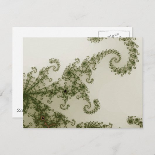 Briefkaart van olijven (Voorkant / Achterkant)