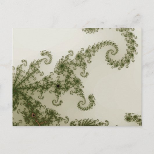 Briefkaart van olijven (Voorkant)