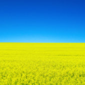 Briefkaart van oorlog en vrede