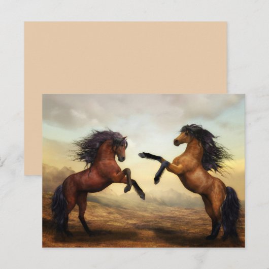 briefkaart van opfokpaarden (Voorkant / Achterkant)