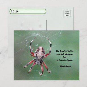 Briefkaart van orbwever voor postcross