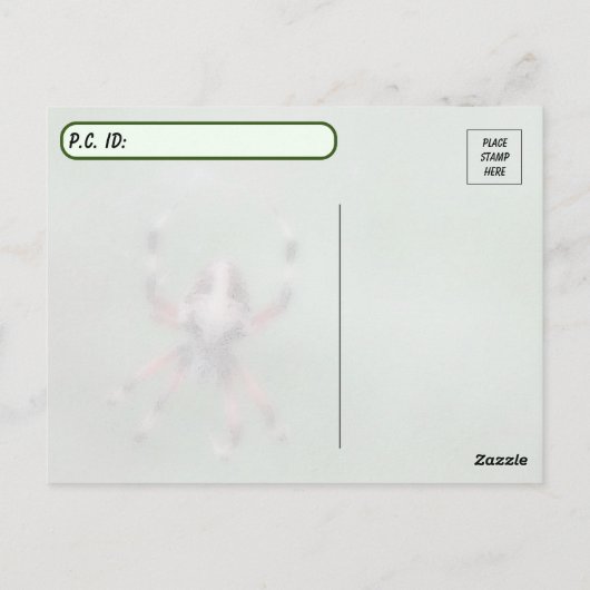 Briefkaart van orbwever voor postcross (Achterkant)