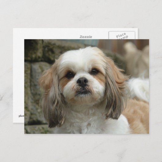 Briefkaart van ovens (Voorkant / Achterkant)