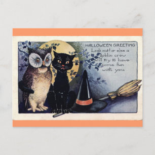 Briefkaart van Owl en Black Cat Halloween