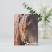 Briefkaart van paarden (Staand voorkant)