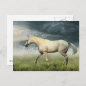 Briefkaart van paarden (Voorkant / Achterkant)