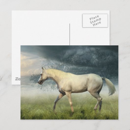 Briefkaart van paarden (Voorkant / Achterkant)