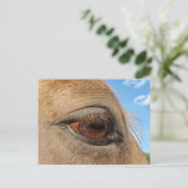 Briefkaart van paarden (Staand voorkant)