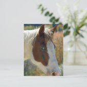 Briefkaart van paarden (Staand voorkant)