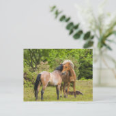 Briefkaart van paarden (Staand voorkant)