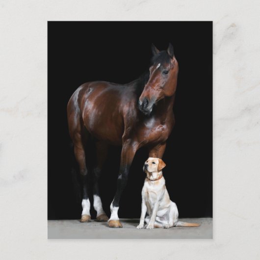 Briefkaart van paarden (Voorkant)