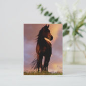 Briefkaart van paarden (Staand voorkant)