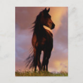 Briefkaart van paarden (Voorkant)